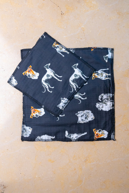2 Essuie-Touts Lavable