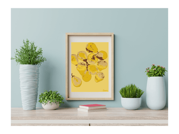 Affiche Fruit Poire