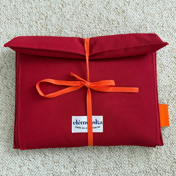 Pochette Ordinateur Petit modèle